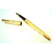 Waterman Cf Crocodile - Plaque de ouro